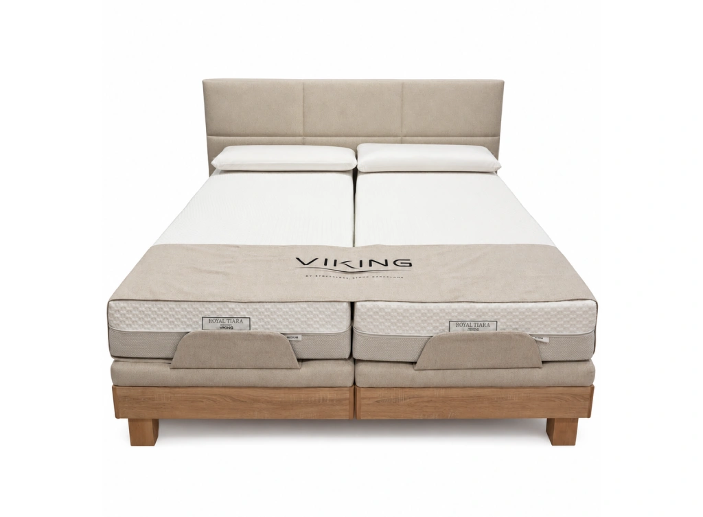 BASE-VIKING-500 pro